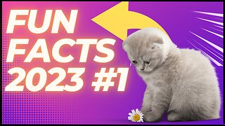 Funny Facts 23 #1