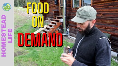 Food On Demand - Prepping Cornish Cross Meat Birds // Homesteading VLOG