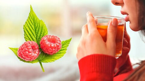 Why Every Woman Should Drink Red Raspberry Leaf Tea