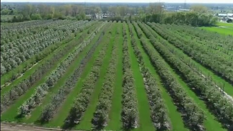 How metro Detroit farmers are using drones to help monitor crops