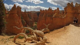 Hike in Queens Garden in Bryce Canyon National Park