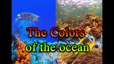 The colors of the ocean