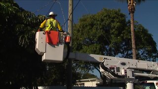 Naples moving powerlines underground for future storms