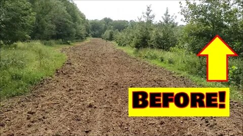 Illinois Hunting land for sale! BEFORE and AFTER new land clearing PART 2