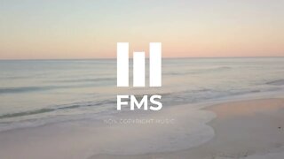 FMS - Free Non Copyright EDM Music #020