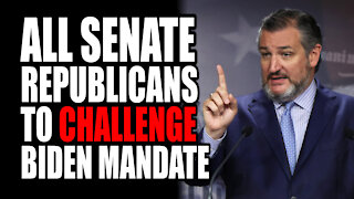 ALL Senate Republicans to Challenge Biden Mandate