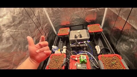 How to build a DIY RDWC Hydroponics Grow system