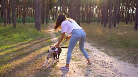 Woman playing with dog in nature