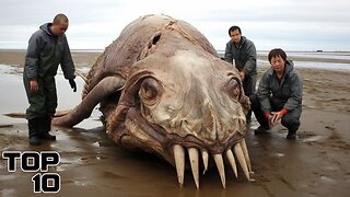 Top 10 Concerning Creatures That Came From Another Planet