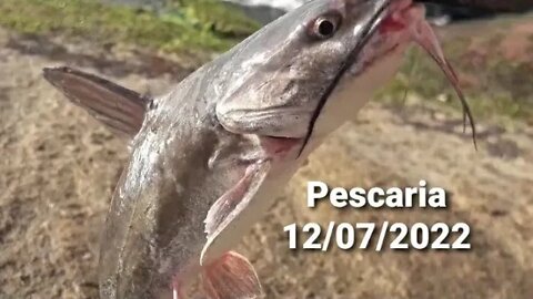 Pescando na véspera da lua cheia.(Fishing on the eve of the full moon)