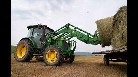 How The Global Hay Shortage Affects You!