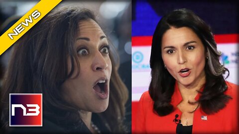 WATCH: Tulsi Gabbard Absolutely DESTROYS Dems Who Call MAGA Supporters Terrorists