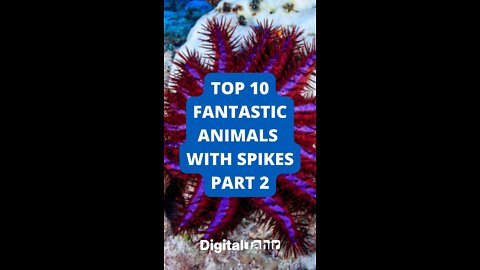 Top 10 Fantastic Animals with Spikes Part 2