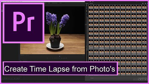 Adobe premiere Pro CC 2022 - How to Create a Time lapse from photo's (2022)