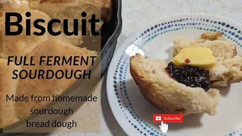SD bread dough biscuit