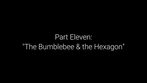 EwarAnon What on Earth Happened? Episode 11 “The Bumblebee and the Hexagon”