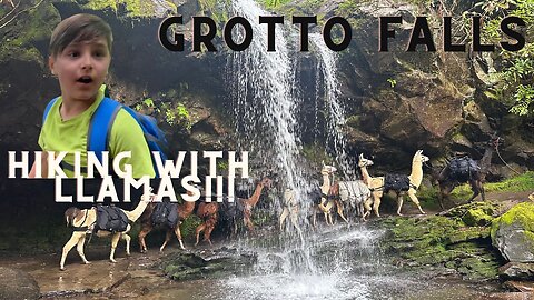 Hiking with Le Conte Llamas in The Great Smoky Mountains | Grotto Falls | TN