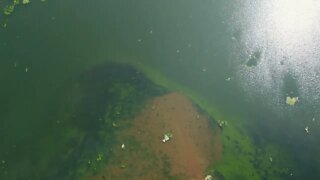 Drone View of Briarwood Cottages, Alberton PEI