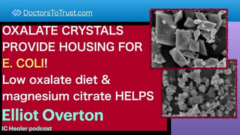 ELLIOT OVERTON 2 | OXALATE PROVIDE HOUSING FOR E. COLI: Low oxalate diet & magnesium citrate HELPS