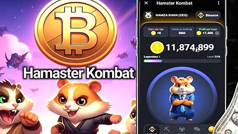 Crypto Market Insights: Paradigm, Ethereum ETFs, Meme Coins, and Hacks | Hamster News