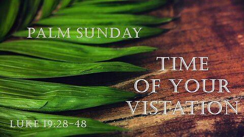 Time of Your Visitation
