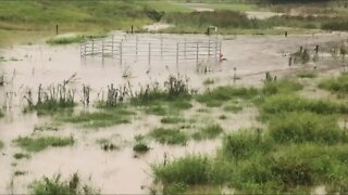 Update on the flooding and how the horses are coping with it. Review of Arthur and the water flow