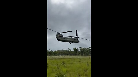 The royal Australian regiment