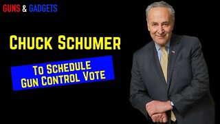 Chuck Schumer To Schedule Universal Background Check & Registry Vote