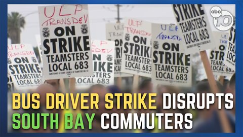 MTS bus drivers on strike until Friday, 33 bus routes delayed