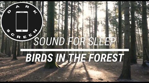 Sound for sleep Birds in the Forest Dark Screen 3 hours