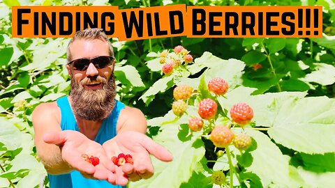 Wild BERRIES Surprise DISCOVERY!!! (Kids Approved!!!)