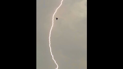 Osprey verses bolt of lightning