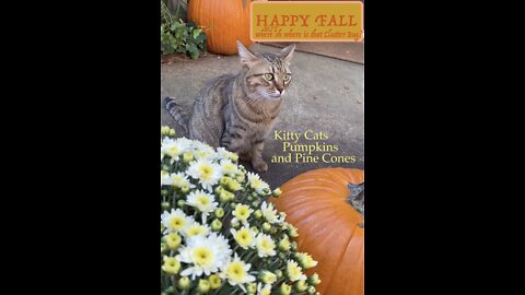 Happy Fall Y'all ~ enjoy this Fall Crunch with Kitty Cats, Pumpkins, Pine Cones ... Why not?