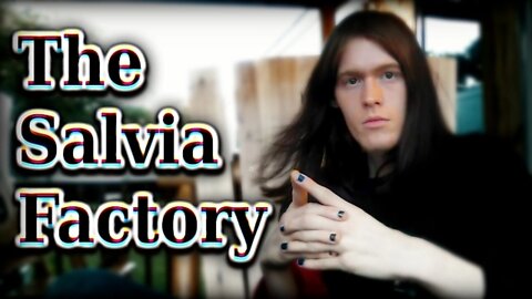 The Salvia Factory (Trip Report)