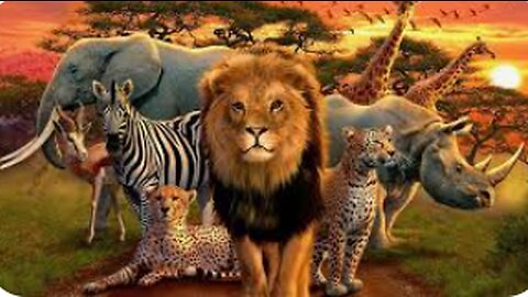 Top Ten African Wild Animals