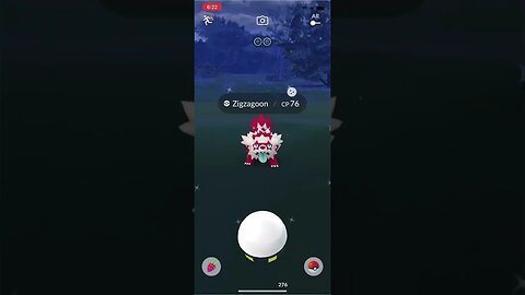 Shiny Compilation