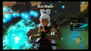 Hyrule Warriors: Age of Calamity - Challenge #49: Messenger's Escort (Very Hard)