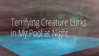 Terrifying Creature Lurks in My Pool at Night