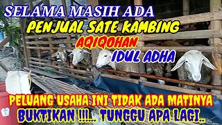 PELUANG USAHA TERNAK DOMBA DI PEDESAAN DAN PERKOTAAN SUNGGUH SANGAT MENJANJIKAN ~ PAKAN GRATIS TISSS