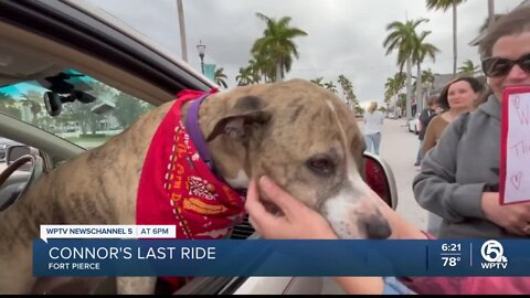 Fort Pierce dog battling cancer receives special farewell ride after post on social media