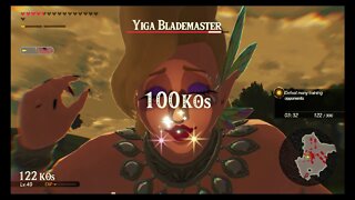Hyrule Warriors: Age of Calamity - Challenge #40: Great Fairy Training (Very Hard)