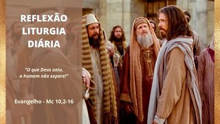 Reflexão da Liturgia Diária - Evangelho de São Marcos 10, 2-16