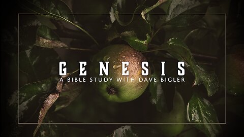 Genesis 37 Bible Study - Joseph, sold into slavery by his loving brothers.