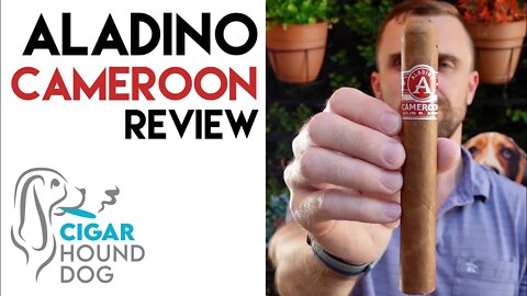 Aladino Cameroon Cigar Review