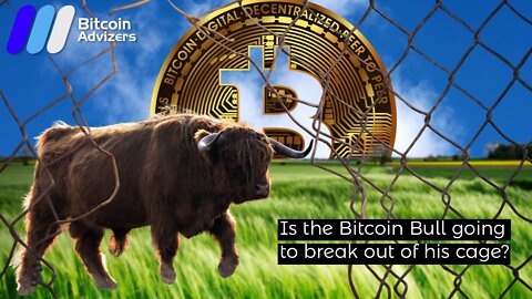 Is the Bitcoin Bull going to break out of his cage?