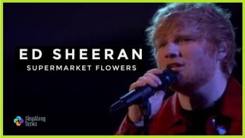 Ed Sheeran - "Supermarket Flowers" with Lyrics
