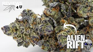 ALIEN RIFT 🛸 STRAIN REVIEW | THC REVIEWS 4 U - Teddy Farms