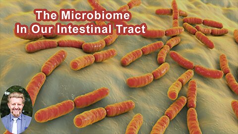We Are Ruled By The Biology Of The Microbiome In Our Intestinal Tract