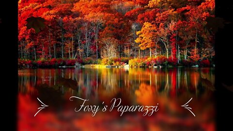 🌿💎🌿 "Foxy's Paparazzi 🍁🍂🍁 "Sugar & Spice" - Autumn Colors, Styles & Trends