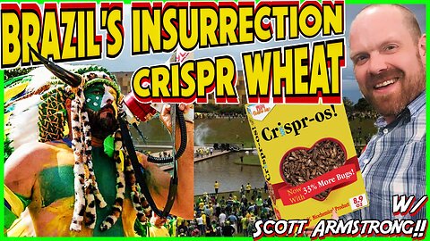 Brazil Insurrection, Crispr Wheat! w/ Scott Armstrong